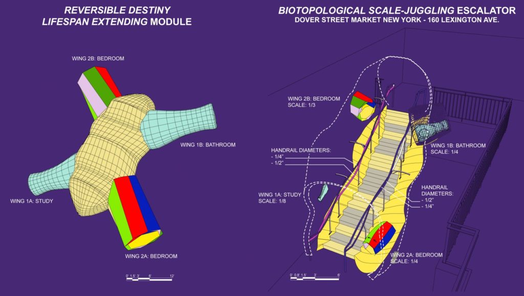 Reversible Destiny Lifespan Extending Module in relation to Biotopological Scale-Juggling Escalator, Diagram