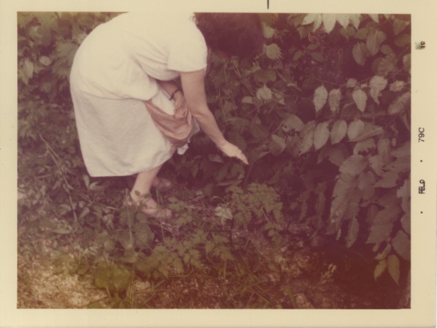 Madeline touching plants on a trail in Japan (1979)